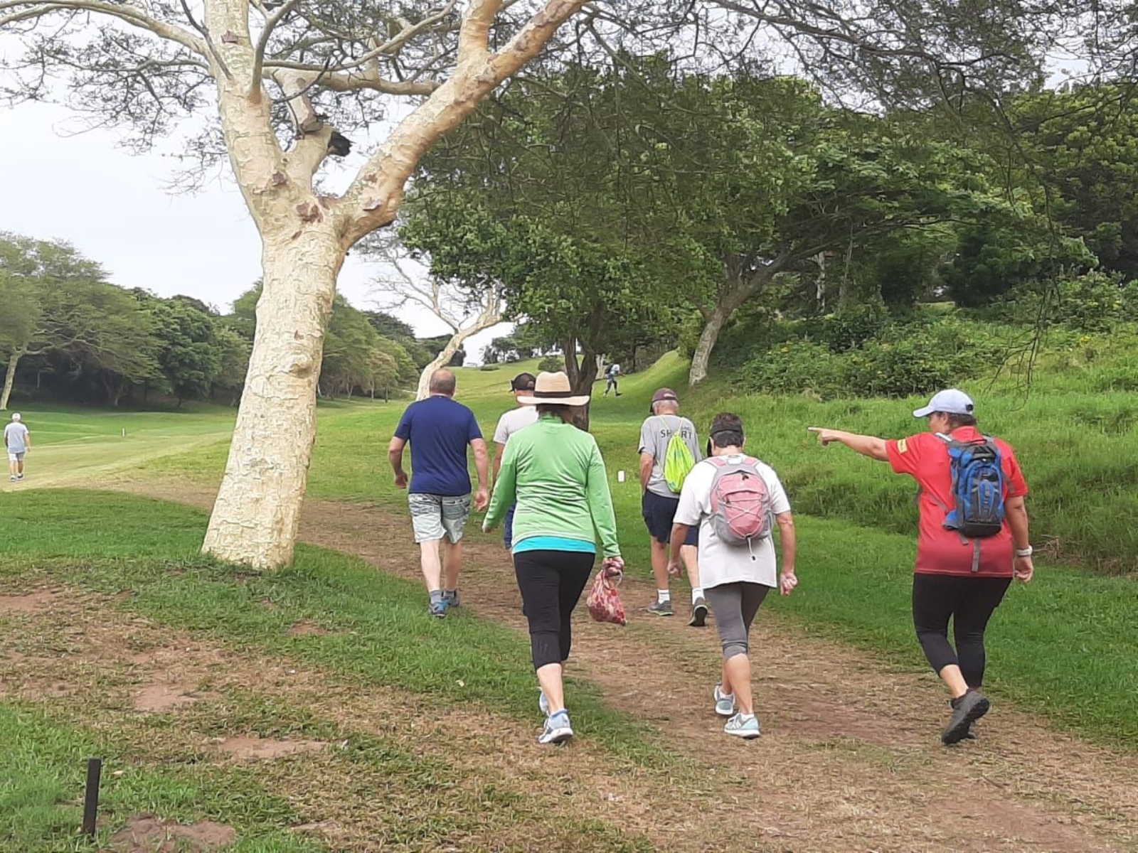 Trail Walks