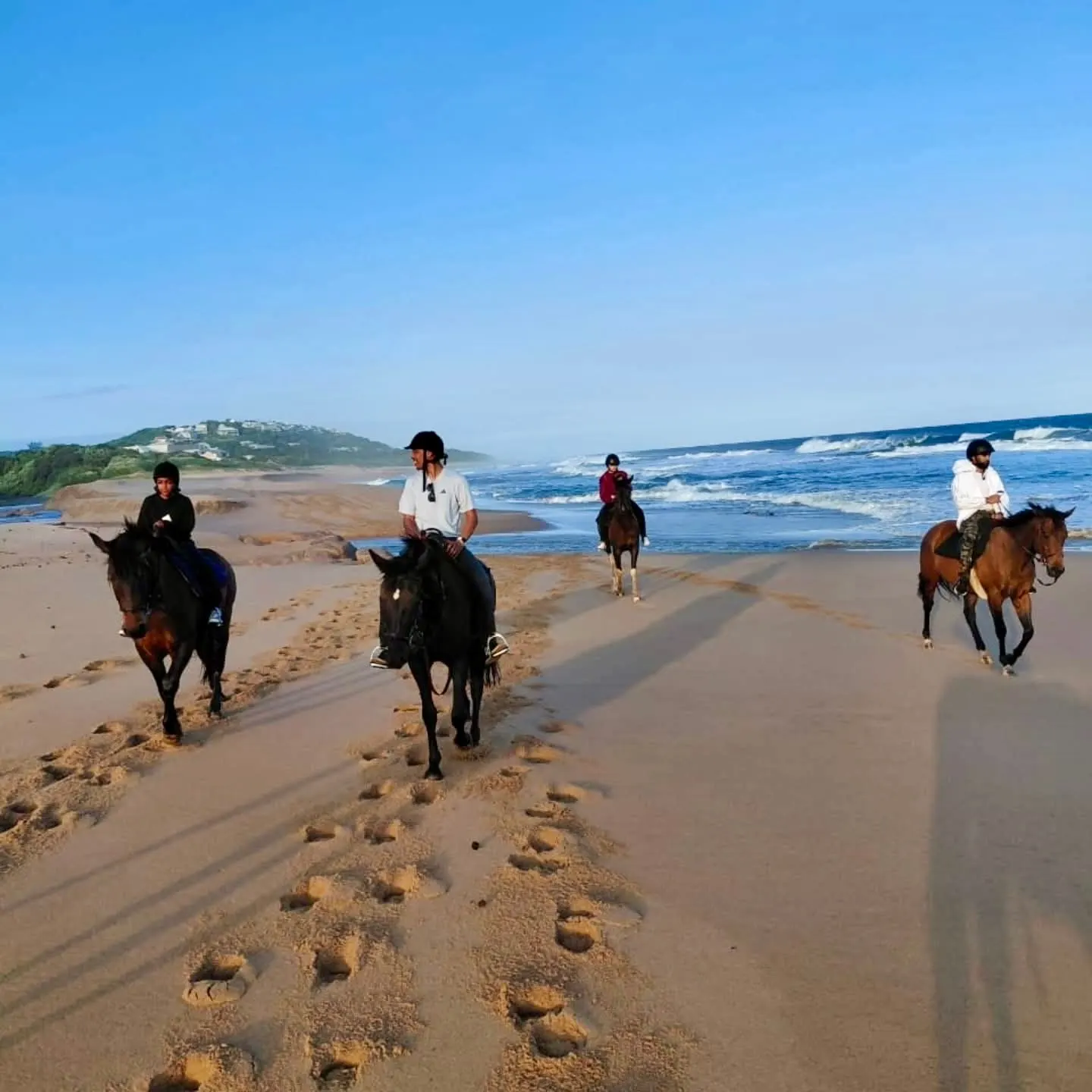 Horse riding nearby