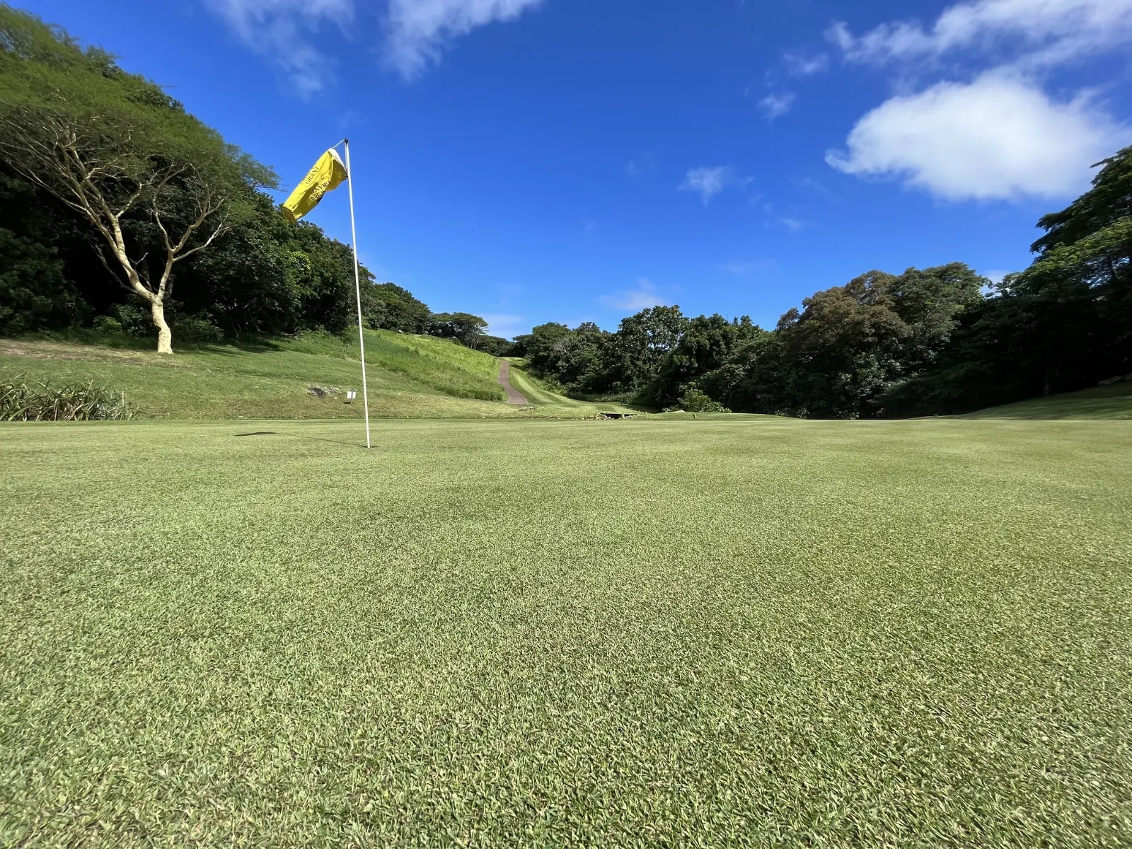 Prince's Grant championship golf course