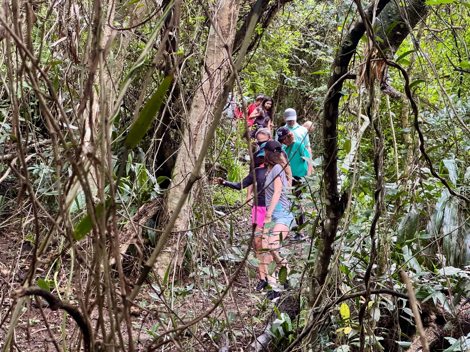 Trail Walks