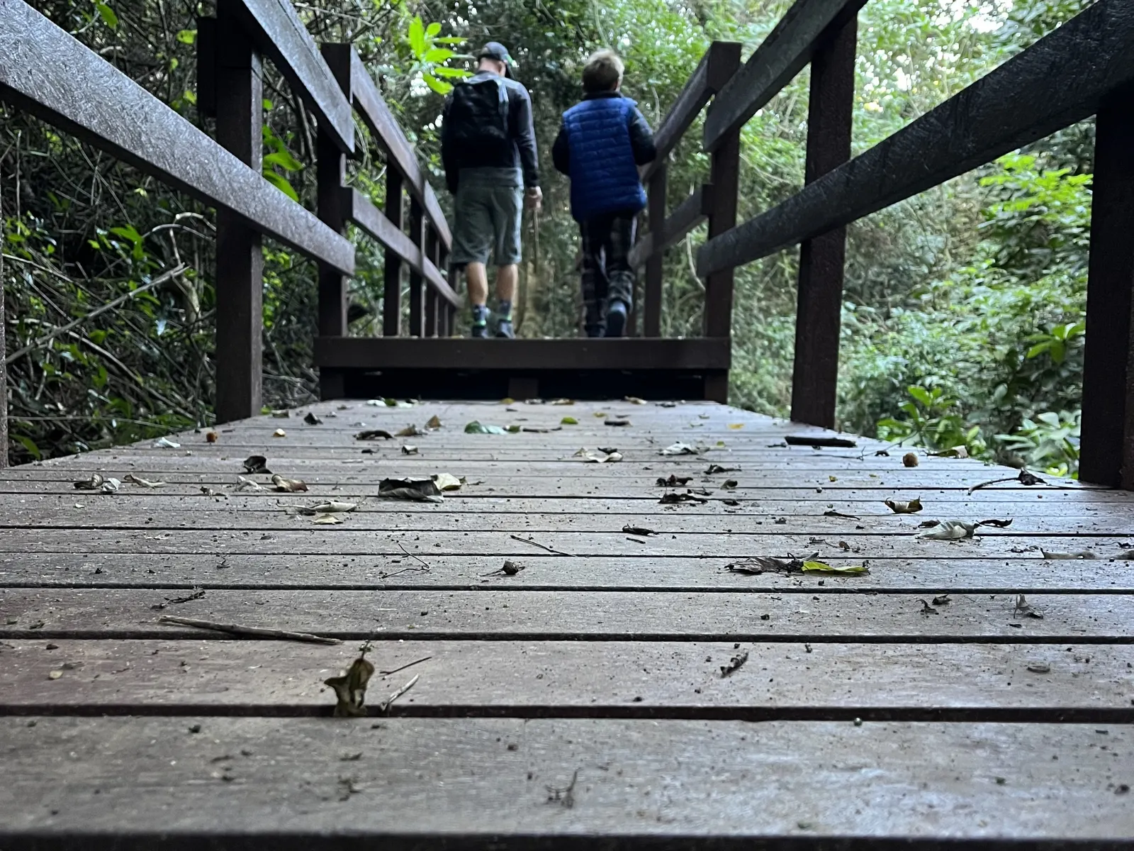 Forest and beach walks