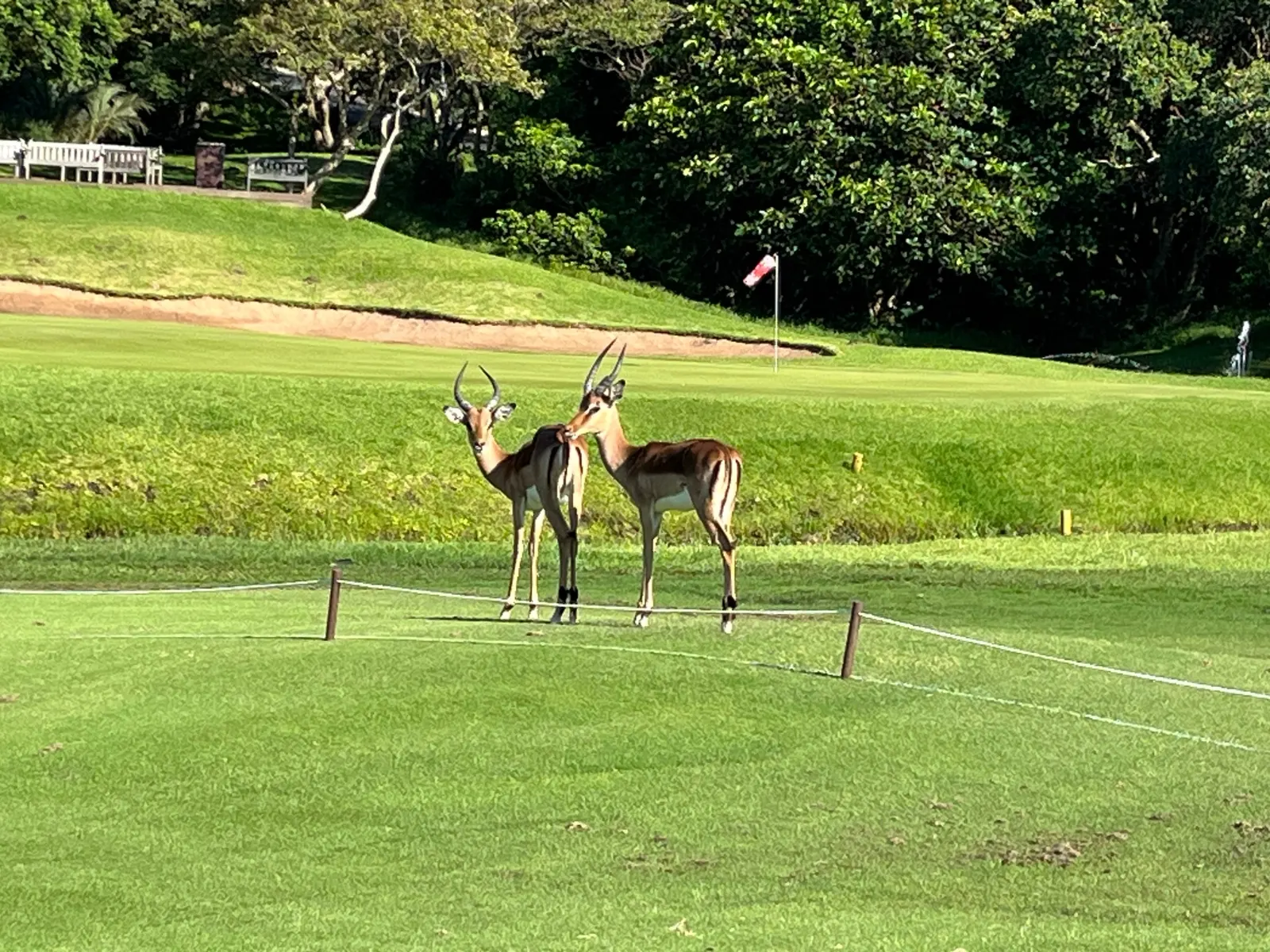 Wildlife and birding at Prince's Grant